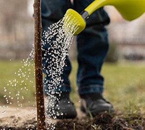 مکملهای رشد