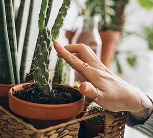 ابزار نگهداری